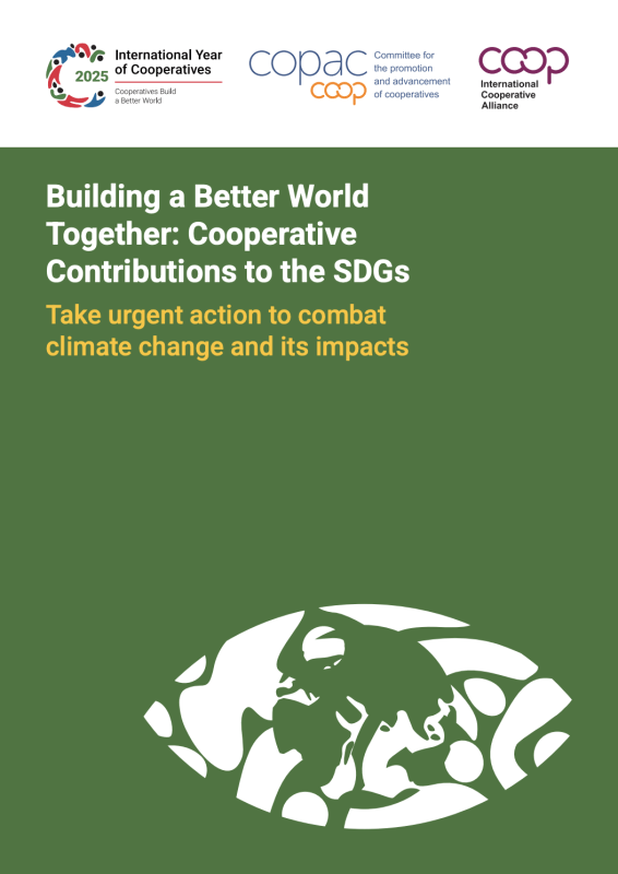 SDG 13 climate action